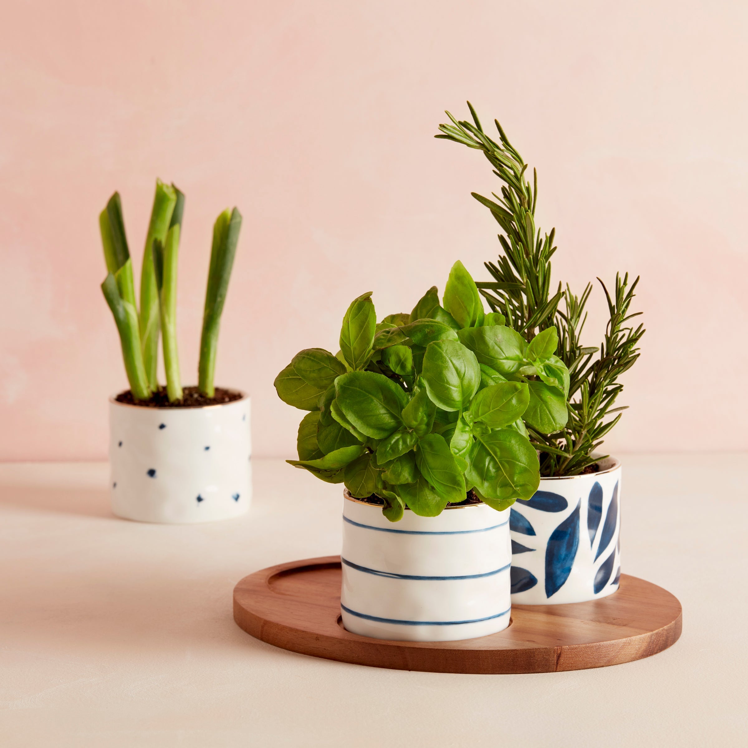 Porcelain Snack Bowls with Wood Tray, 4-Piece Set - Image 3